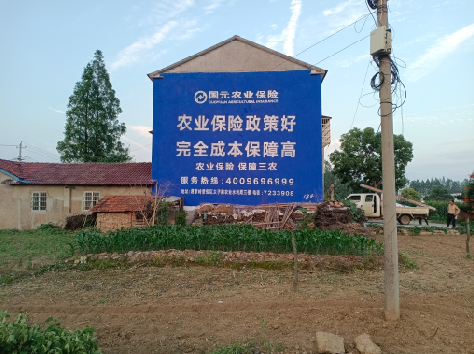  泸县墙体广告的优劣势你知道吗？