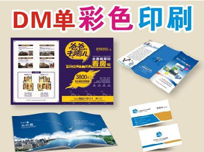  泸县单页印刷，色彩搭配简单。